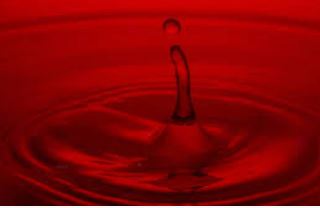 Hibiscus Chamomile & Aloe Hair Rinse - Ebony's Beauty Hair and Skin Care LLC